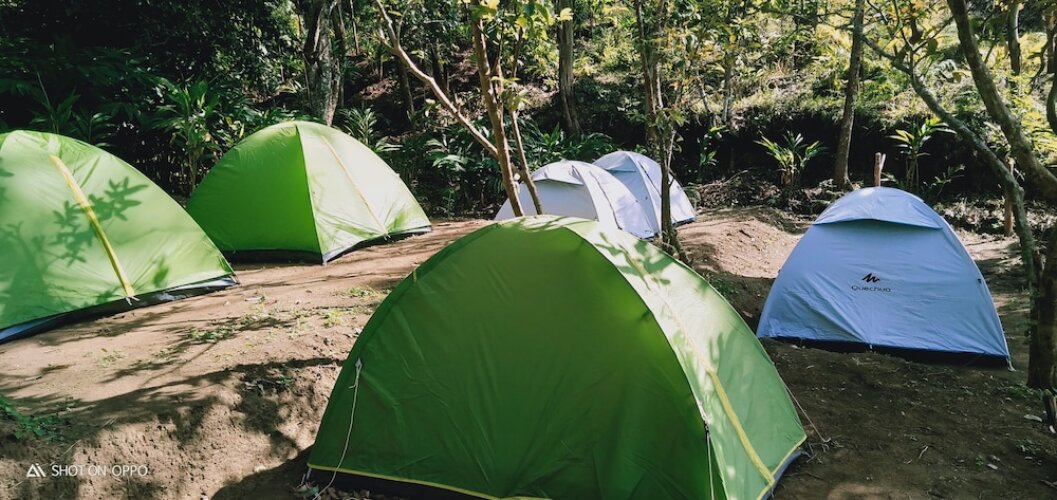 munnar jungle camp