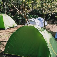 munnar jungle camp