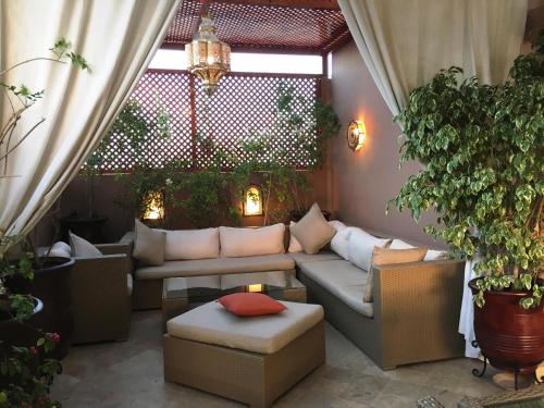riad viva