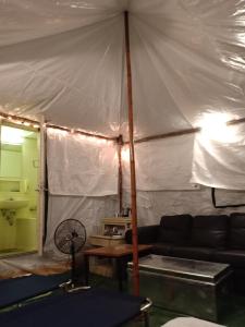 nature trail camps and homestay