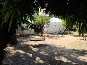 nature trail camps and homestay