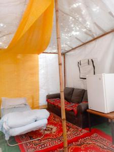 nature trail camps and homestay