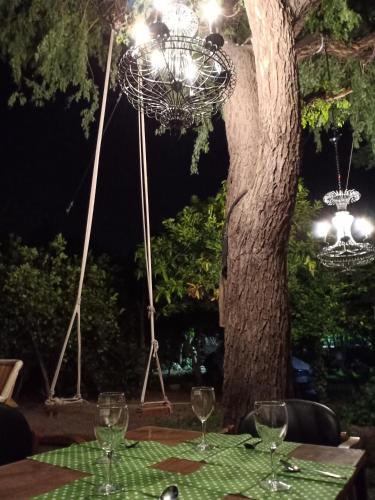 nature trail camps and homestay