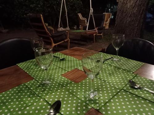 nature trail camps and homestay