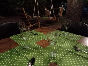 nature trail camps and homestay