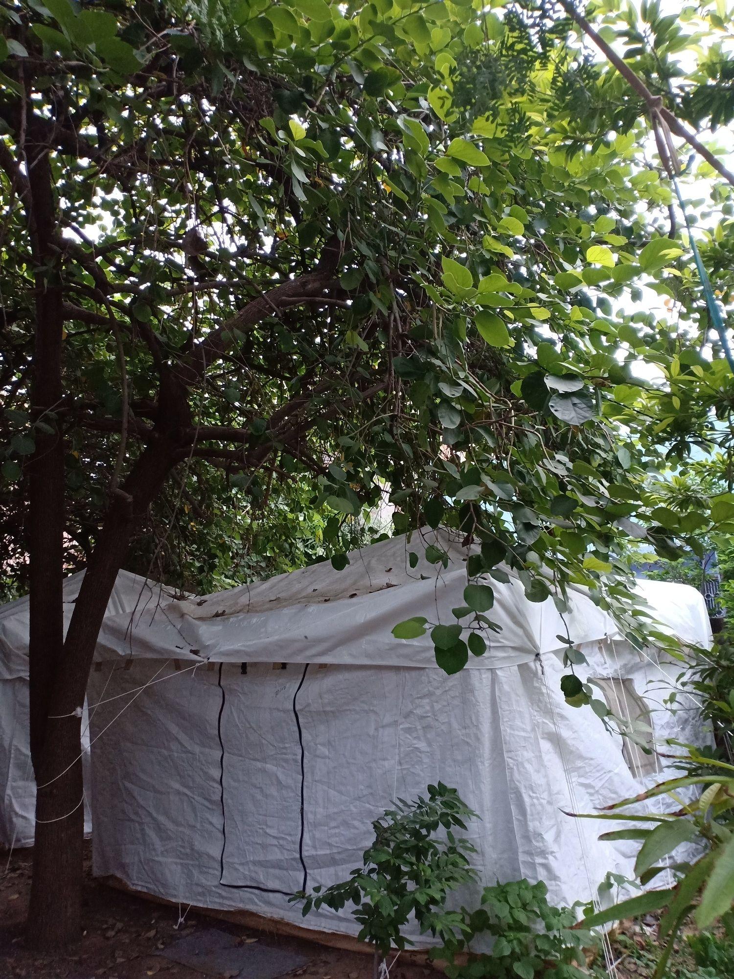 nature trail camps and homestay