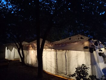 nature trail camps and homestay