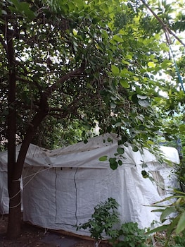 nature trail camps and homestay