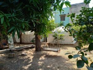 nature trail camps and homestay