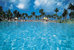 the cove at atlantis