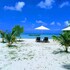 sandyy wavess beach resort