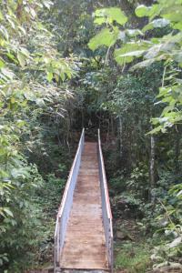 bijagua