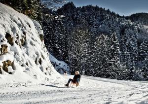 berghotel altes wallberghaus