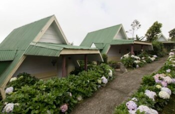 hortensias chalets vara blanca