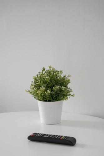 moon hostel warszawa