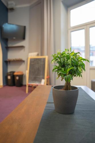 moon hostel warszawa