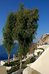 mystique a luxury collection hotel santorini