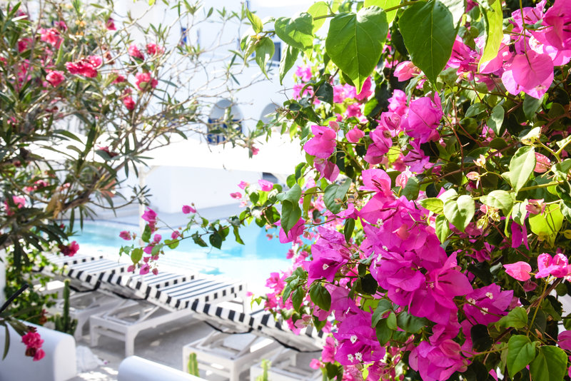 kouros village hotel adults only