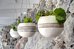 vedema a luxury collection resort santorini