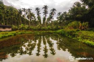 Whispering Willows,Masinagudi>>Gudalur,3 star