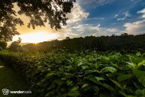 Whispering Willows,Masinagudi>>Gudalur,3 star