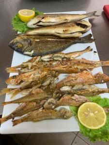 vlore