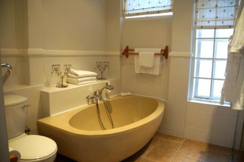 wild olive guest house