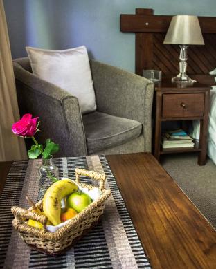 wild olive guest house