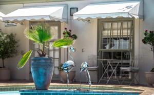Wild Olive Guest House,Claremont>>Cape Town,4 star