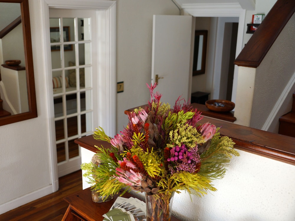 wild olive guest house