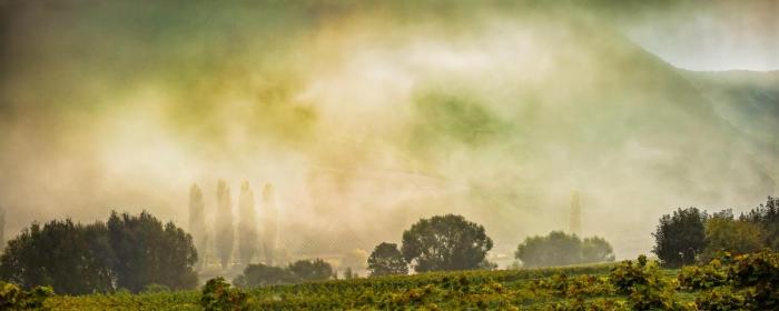 weingut and gastehaus christoph clusserath