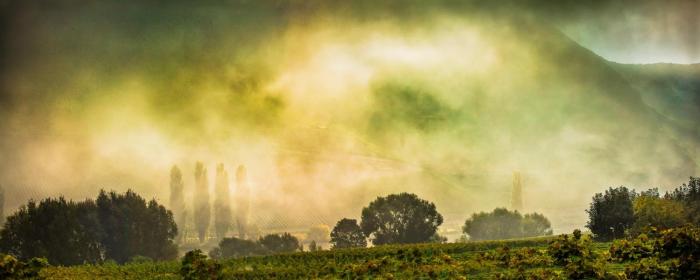 weingut and gastehaus christoph clusserath