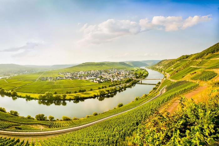 weingut and gastehaus christoph clusserath