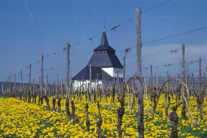 weingut and gastehaus christoph clusserath