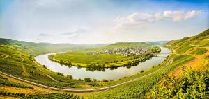 weingut and gastehaus christoph clusserath