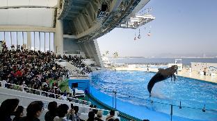 hotel grandolce hakata