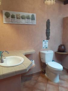 Hotel Boruca Tamarindo,Santa Cruz>>Guanacaste,2.5 star