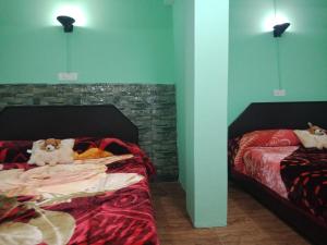 zimba happy home stay