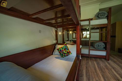alt life manali