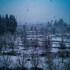 alt life manali