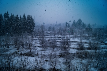 alt life manali