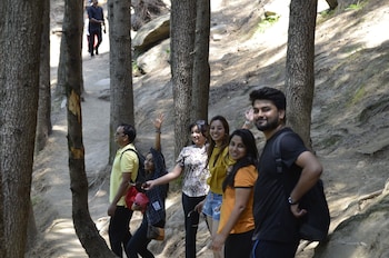 alt life manali