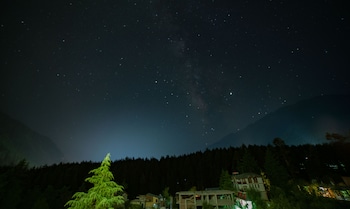 alt life manali