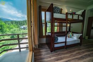 alt life manali