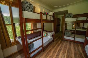 alt life manali
