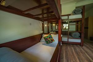 alt life manali