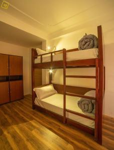 alt life manali