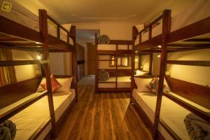 alt life manali