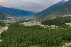 alt life manali