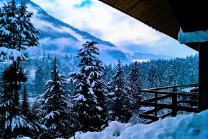 Alt Life Manali,Manali>>Kullu,3 star